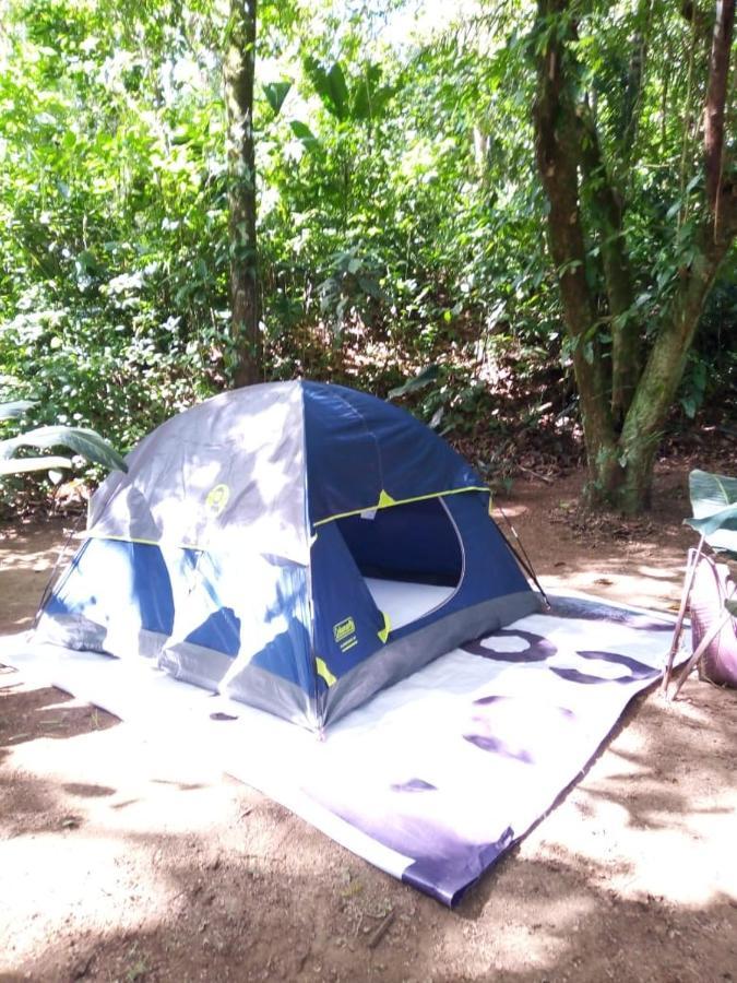 Rio Agujitas Eco Farm Hostel And Tours Drakes Bay エクステリア 写真