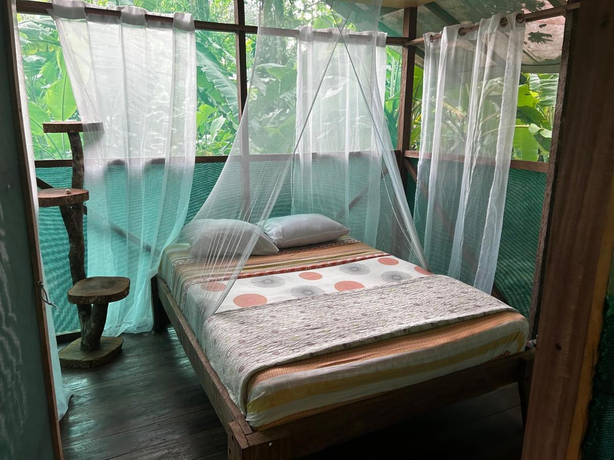 Rio Agujitas Eco Farm Hostel And Tours Drakes Bay エクステリア 写真