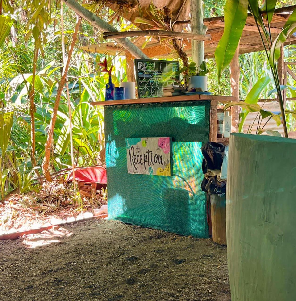 Rio Agujitas Eco Farm Hostel And Tours Drakes Bay エクステリア 写真