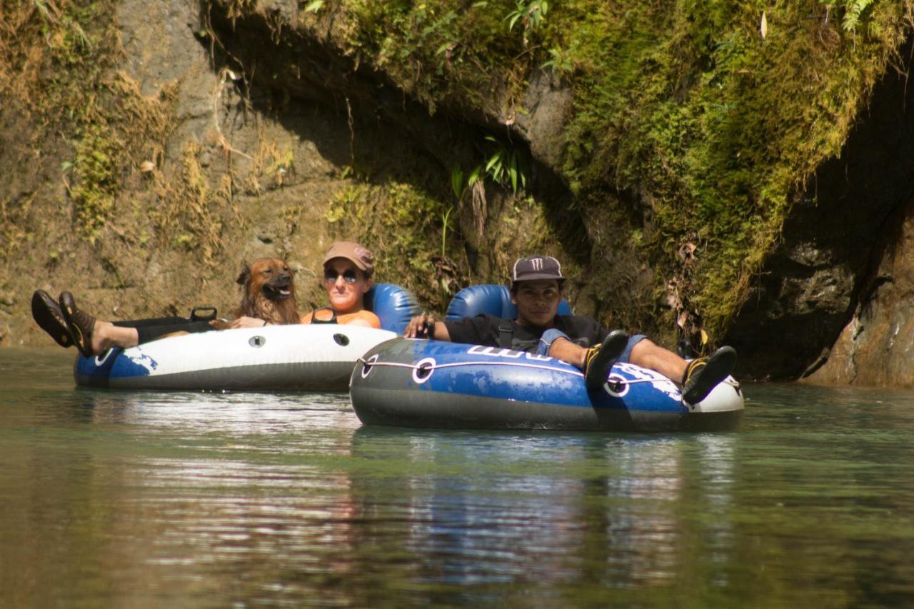 Rio Agujitas Eco Farm Hostel And Tours Drakes Bay エクステリア 写真