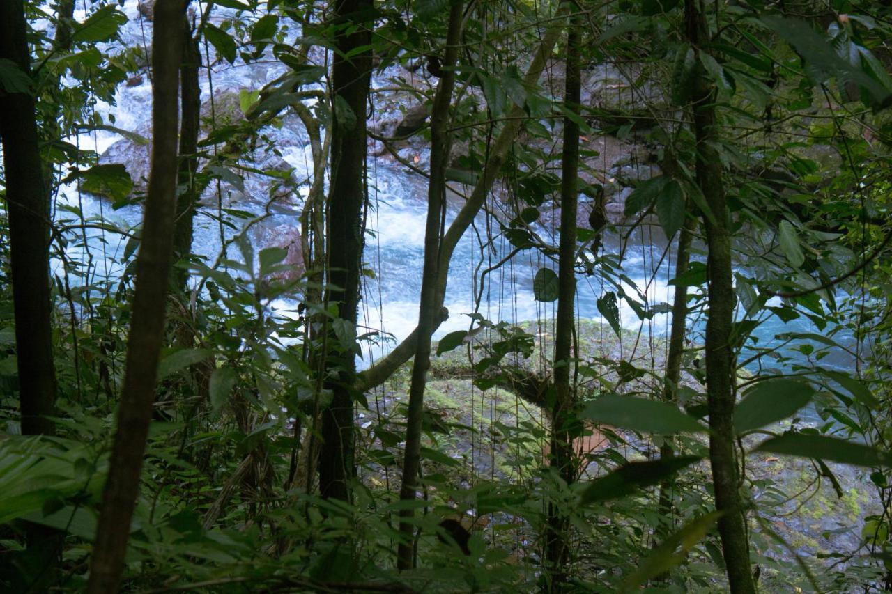 Rio Agujitas Eco Farm Hostel And Tours Drakes Bay エクステリア 写真